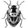 tuchatuamo1985 profile