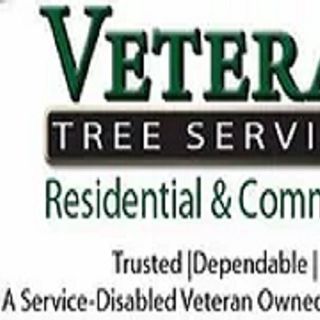 Veteran Tree Services profile picture