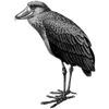 floydnelsen577 profile image