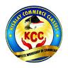 Kisalay Commerce Classes profile picture