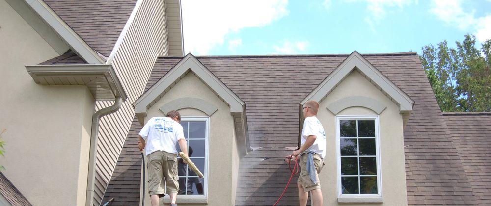 Cover image for Why Roof Mold and Algae Are Bigger Problems Than They Seem