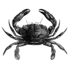 joeharms586 profile image