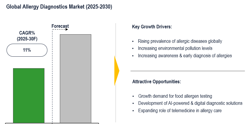 Cover image for Global Allergy Diagnostics Market Fueled by High Allergy Rates and Tech with 11% CAGR by 2030