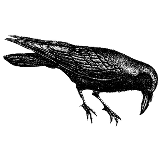 Steve Bundrick profile picture