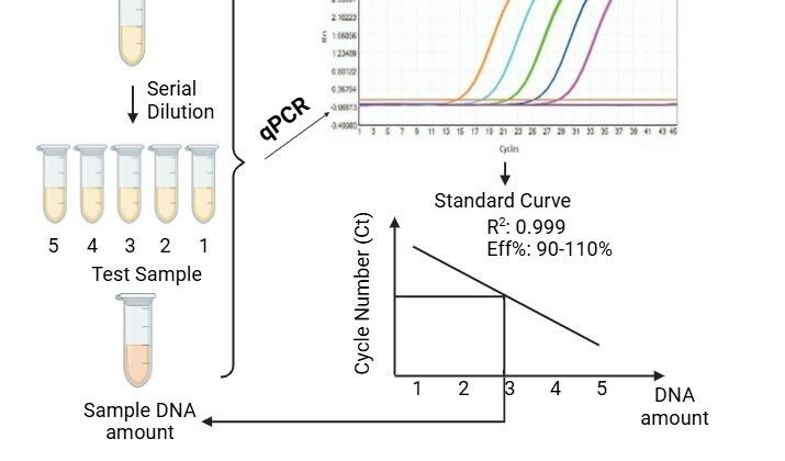 Cover image for New Insect Nucleic Acid Residue Assay Kits for Enhanced Quality Control