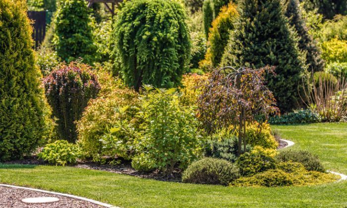 Cover image for 6 Stunning Hardscaping Ideas to Elevate Your Commercial Property