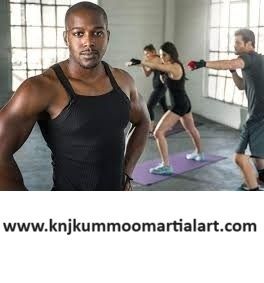 Cover image for Journey martial arts