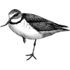 perryasmith518 profile image