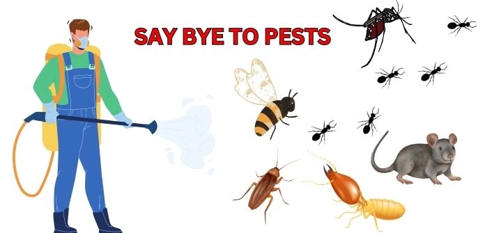 Cover image for Get the Best Pest Control Services in Gurgaon