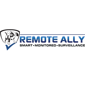 Remote Ally profile picture