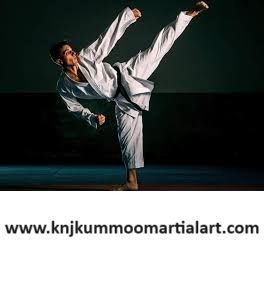 Cover image for Ohio Martial Arts