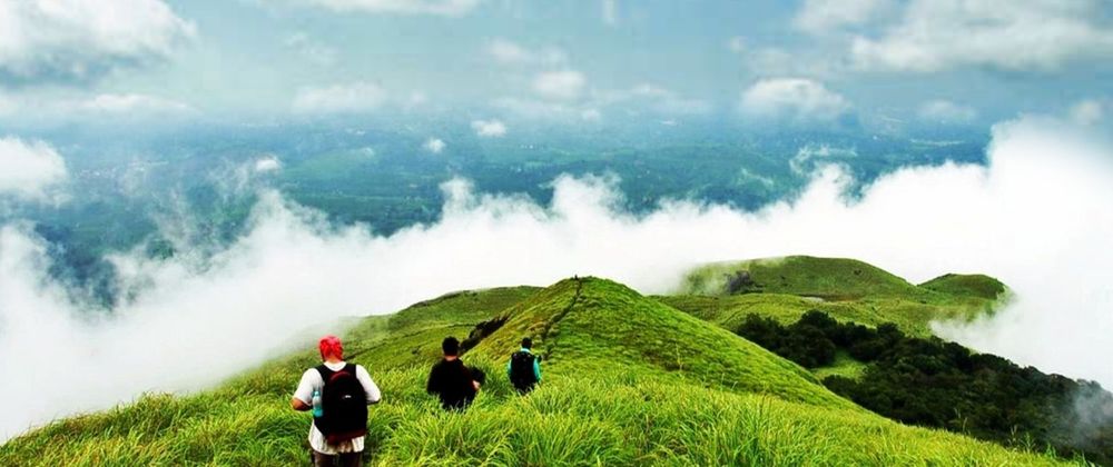 Cover image for Discover South India with Mysore Ooty Coorg Tour Package