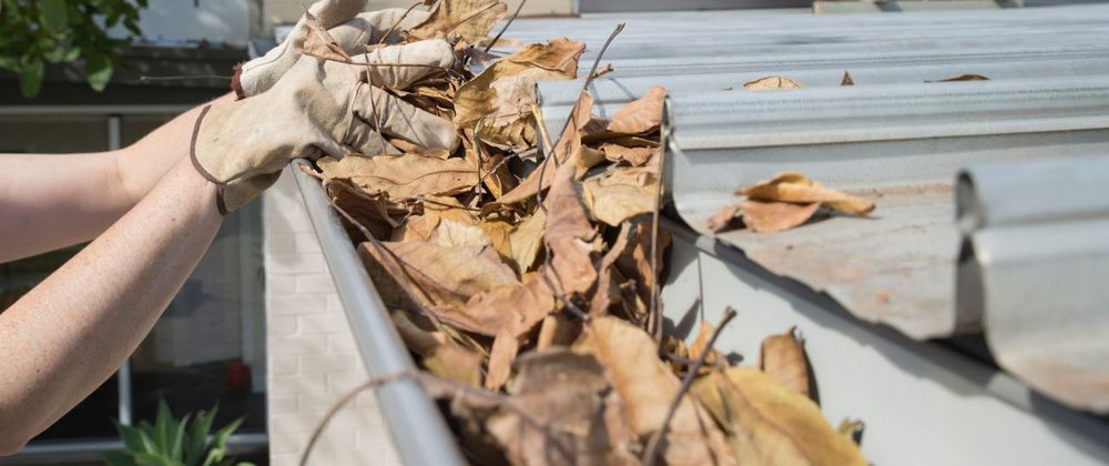 Cover image for House Washing vs. Pressure Washing: What’s the Difference?