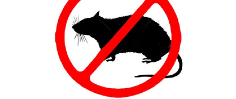 Cover image for Rodenticides Market - Industry Overview, Major Developments, and Forecast to 2033