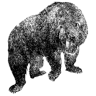 Brandon Miller profile picture