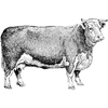 finance profile image