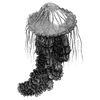 jackowen profile image