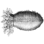 upguchenza1985 profile