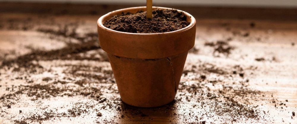 Cover image for Premium Potting Soil Market Trends 2025: What Gardeners and Growers Need to Know