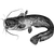 kello liver