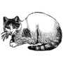 amneipibo1982 profile