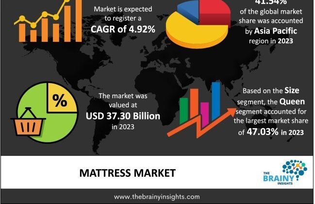 Cover image for Comfort and Innovation: Analyzing the Evolving Mattress Market Landscape