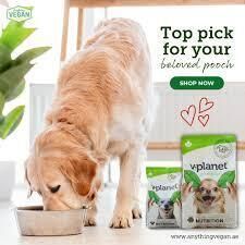 Cover image for dog food in jvt