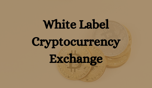 Cover image for Unveiling the Power of White Label Crypto Exchanges: A Comprehensive Guide