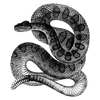 clvsych profile image