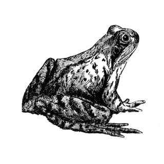 Gladys H. profile picture