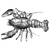 Slikk Phi