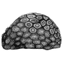tjamenclemdesp1981 profile