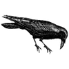 wexawak141 profile image
