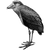 woireste