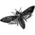 ivtherapy profile image