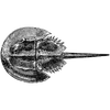gomezmark600 profile image