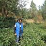 Manoj Rawat profile picture