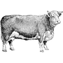 evllevdisport1980 profile