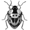 jerrywilmoth4 profile image