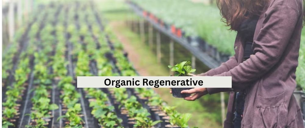 Cover image for How Organic Regenerative Farming Is Redefining Agriculture in 2025?