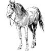 trueclassics profile image