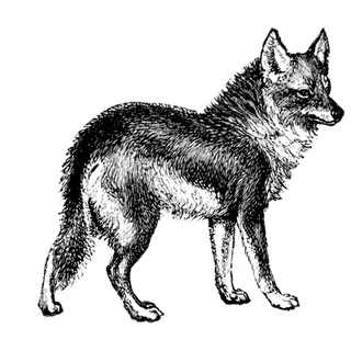 Shawn Roark profile picture