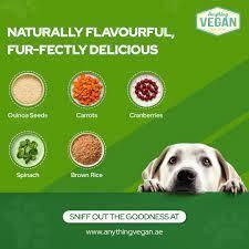 Cover image for low calorie dog food dubai