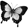 petnyazuecred1989 profile