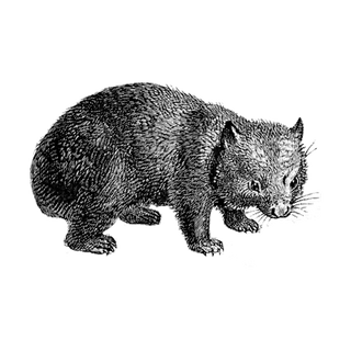 Jay Rapczynski profile picture