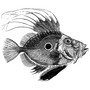 natingtiti1988 profile
