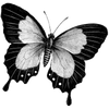 clarencegodin878 profile image