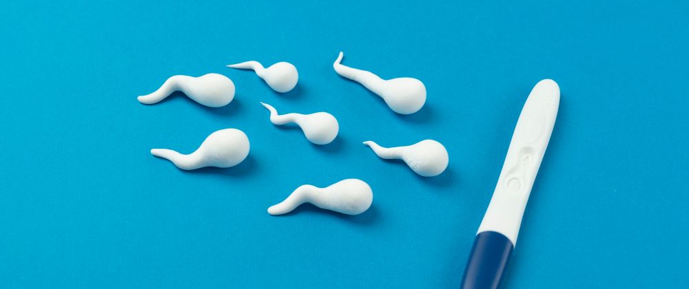Cover image for Exploring the Future of Fertility: Growth and Innovation in the Artificial Insemination Market