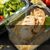 nutrify