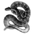 rimssoftware